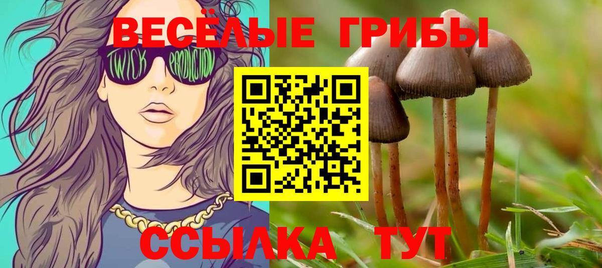 Галлюциногенные грибы ЛСД  Вход с VPN  Добрянка  Псилоцибиновые грибы Cubensis 