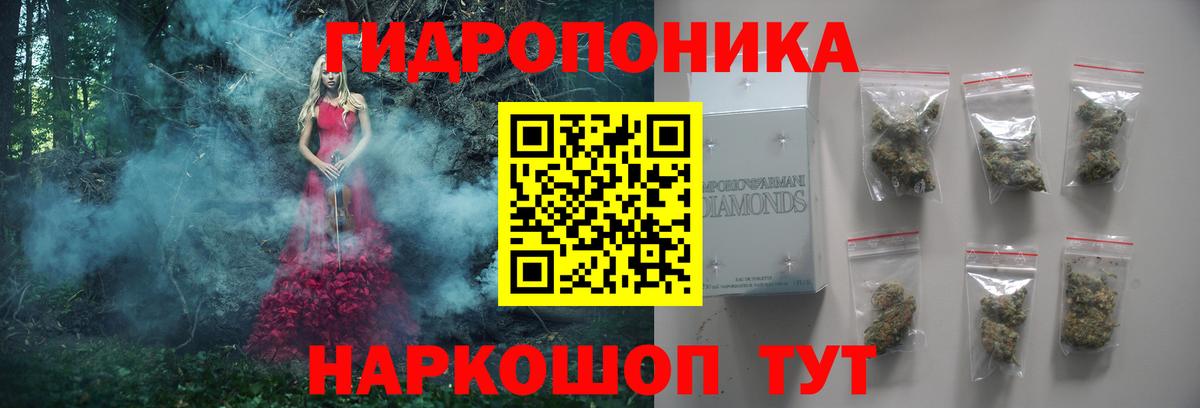 Бошки марихуана Bruce Banner  Вход с VPN  Бошки марихуана планчик  Добрянка  Шишки марихуана Amnesia  Марихуана OG Kush 